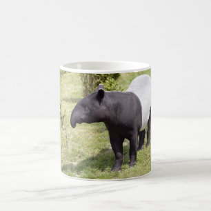 Malayischer Tapir auf Gras Kaffeetasse
