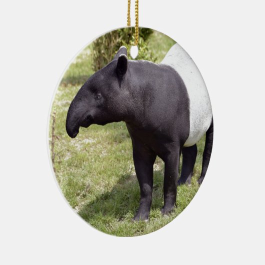 Malayischer Tapir auf Gras Keramikornament (Rechts)