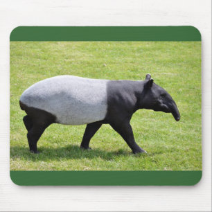 Malayischer Tapir auf Gras Mousepad