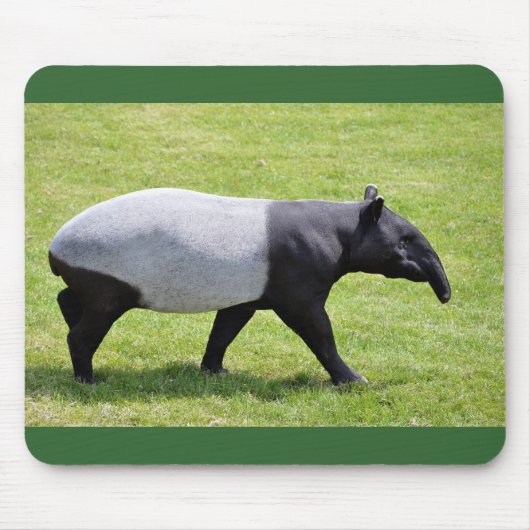 Malayischer Tapir auf Gras Mousepad (Vorne)