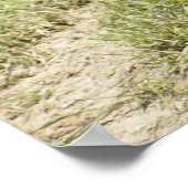 Malayischer Tapir auf Gras Poster (Ecke)