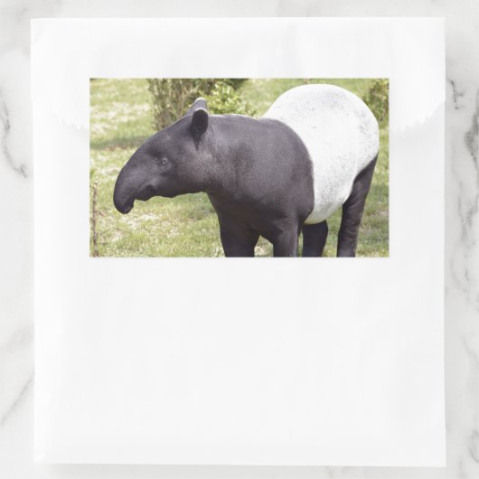 Malayischer Tapir auf Gras Rechteckiger Aufkleber (Tasche)