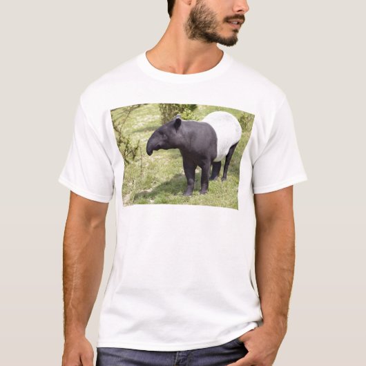 Malayischer Tapir auf Gras T-Shirt (Vorderseite)