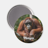 Malaysia Orangutan mit Sonnenbrille Magnet (Vorderseite/Rückseite)