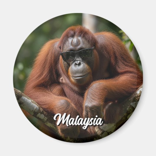 Malaysia Orangutan mit Sonnenbrille Magnet (Vorne)