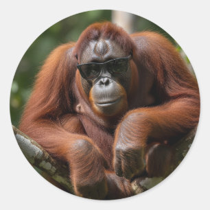 Malaysia Orangutan mit Sonnenbrille Runder Aufkleber