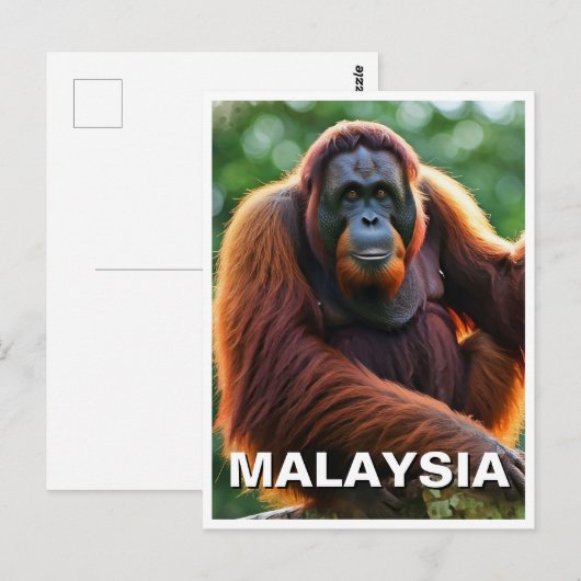 Malaysia Orangutan Postkarte (Vorne/Hinten)