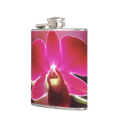 Malaysia, Orchid Flachmann (Links)