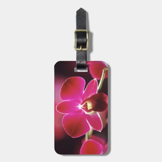 Malaysia, Orchid Gepäckanhänger (Vorderseite vertikal)