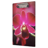 Malaysia, Orchid Klemmbrett (Links)