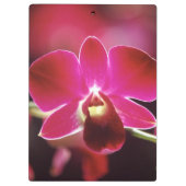 Malaysia, Orchid Klemmbrett (Rückseite)