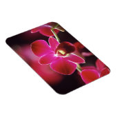 Malaysia, Orchid Magnet (Rechte Seite)