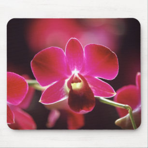 Malaysia, Orchid Mousepad