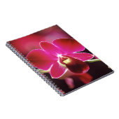 Malaysia, Orchid Notizblock (Rechte Seite)