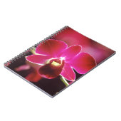 Malaysia, Orchid Notizblock (Linke Seite)