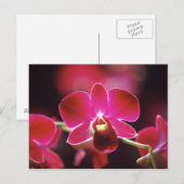 Malaysia, Orchid Postkarte (Vorne/Hinten)