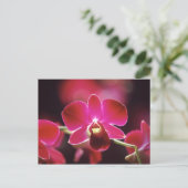 Malaysia, Orchid Postkarte (Stehend Vorderseite)