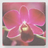 Malaysia, Orchid Steinuntersetzer (Vorderseite)