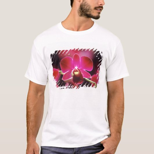 Malaysia, Orchid T-Shirt (Vorderseite)