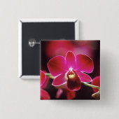 Malaysia, Orchidee Button (Vorne & Hinten)