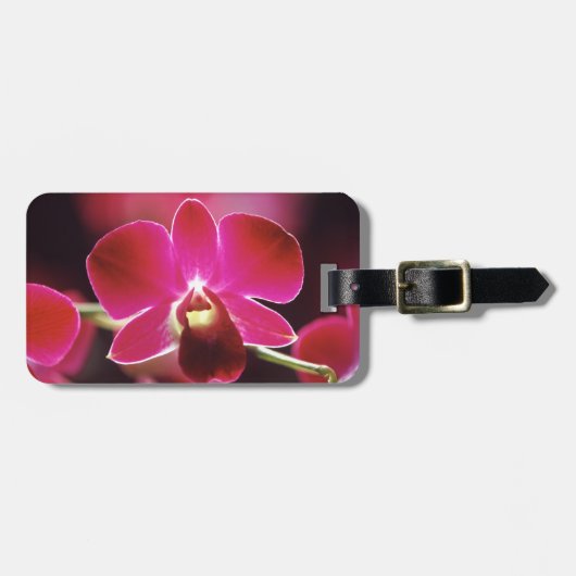 Malaysia, Orchidee Gepäckanhänger (Vorderseite horizontal)