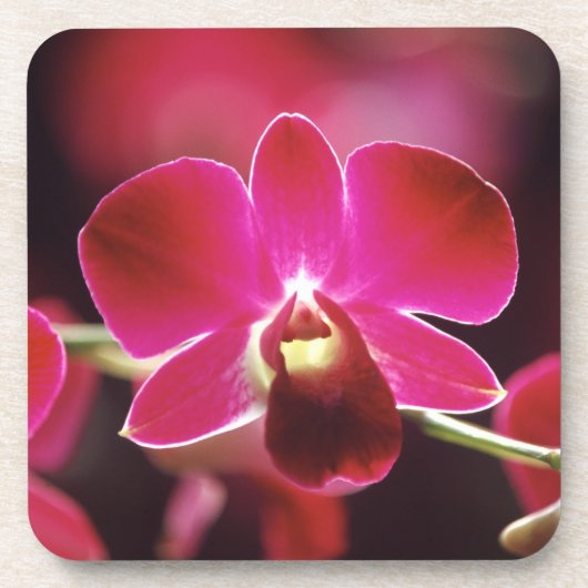 Malaysia, Orchidee Getränkeuntersetzer (Vorderseite)