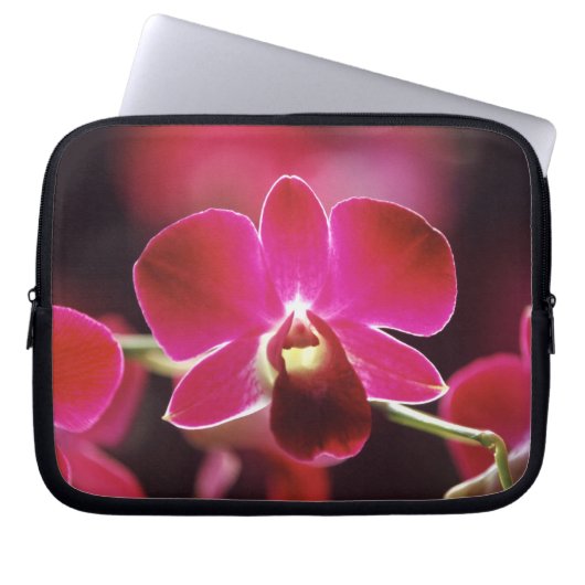 Malaysia, Orchidee Laptopschutzhülle (Vorderseite)