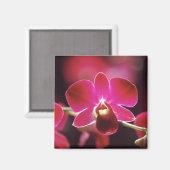 Malaysia, Orchidee Magnet (Vorderseite/Rückseite)