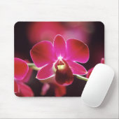 Malaysia, Orchidee Mousepad (Mit Mouse)