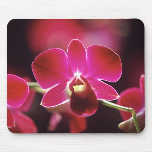 Malaysia, Orchidee Mousepad (Vorne)