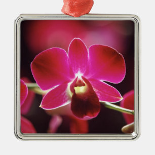 Malaysia, Orchidee Silbernes Ornament