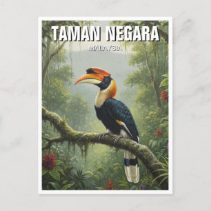 Malaysia Taman Negara Hornbill Postkarte