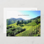 Malaysia Tea Plantation Postkarte (Vorne/Hinten)