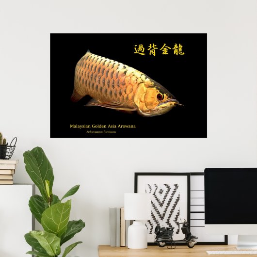 Malaysian Golden Arowana Poster (Heimbüro)