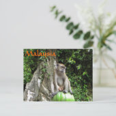 Malaysischer Affe Postkarte (Stehend Vorderseite)