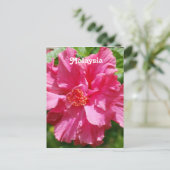 Malaysischer Hibiskus Postkarte (Stehend Vorderseite)