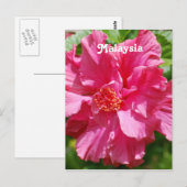 Malaysischer Hibiskus Postkarte (Vorne/Hinten)