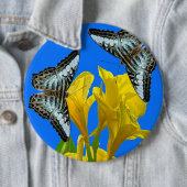 Malaysischer Kappenschmetterling auf Canna King Button (Beispiel)