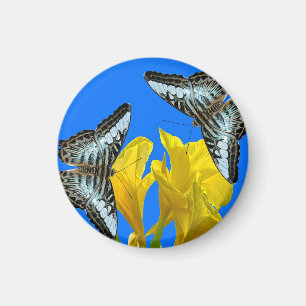 Malaysischer Kappenschmetterling auf Canna King Magnet