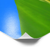 Malaysischer Kappenschmetterling Posters Fotodruck (Ecke)