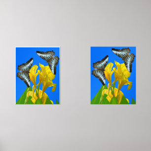 Malaysischer Kappenschmetterling Print Set