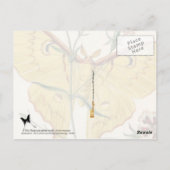 Malaysischer Moon Moth & China Pink Postkarte (Rückseite)