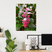 Malaysischer Orchid Tree Poster (Heimbüro)