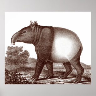 Malaysisches Tapir in einer Landschaft aus der Ant Poster