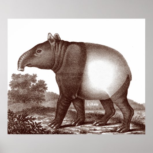 Malaysisches Tapir in einer Landschaft aus der Ant Poster (Vorne)