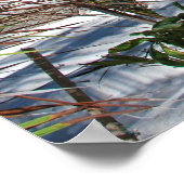 maldives-666122 TROPICAL PARADISE BACKGRUNDS WALL Poster (Ecke)