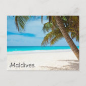 Maldives Island Ocean Beach Palm Tree Reisen Postkarte (Vorderseite)