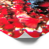 Maldives Reef Snapshot Poster (Ecke)