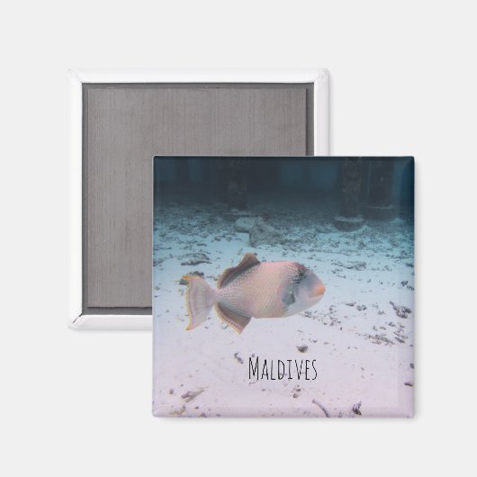Maldives Underwater Coral Fish Souvenir Magnet (Vorderseite/Rückseite)