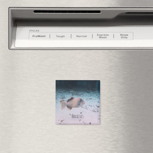 Maldives Underwater Coral Fish Souvenir Magnet (In Situ (Geschirrspüler))